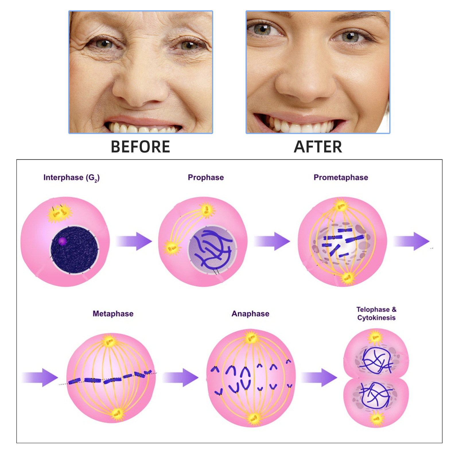 2ml*7pcs Hyaluronic acid Meso  - Hyaluronic Acid Facial Serum ulasan dan harga